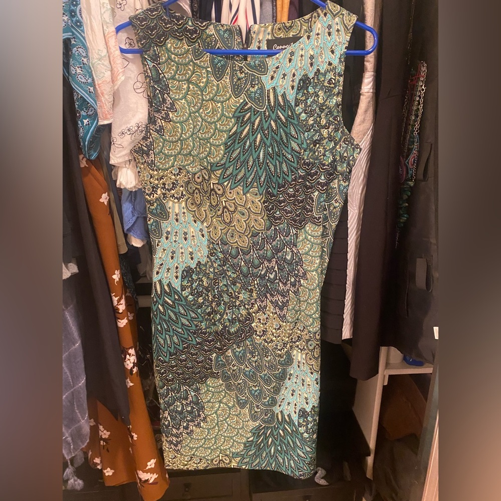 Blue & Green Peacock Dress